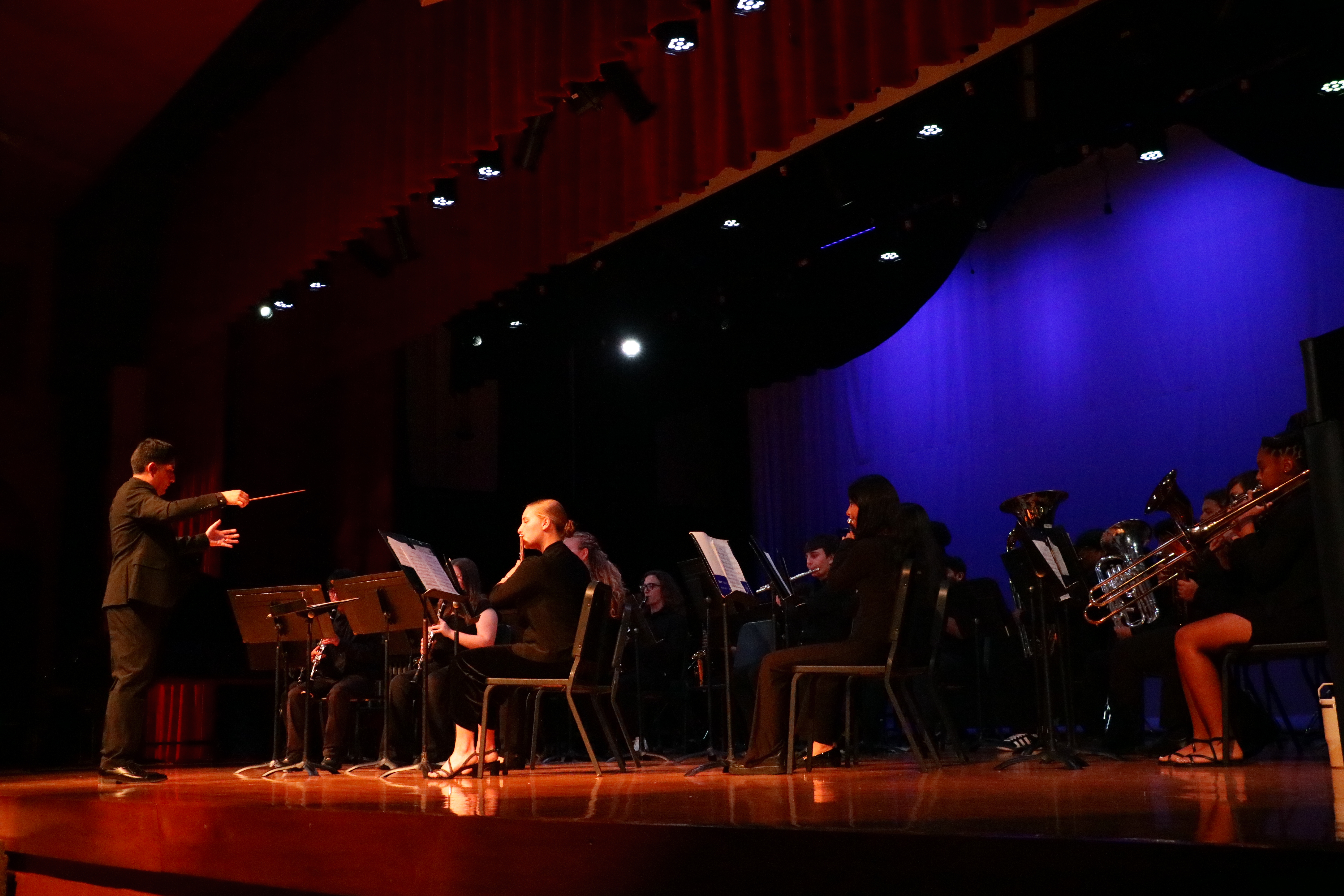 Concert photo 1