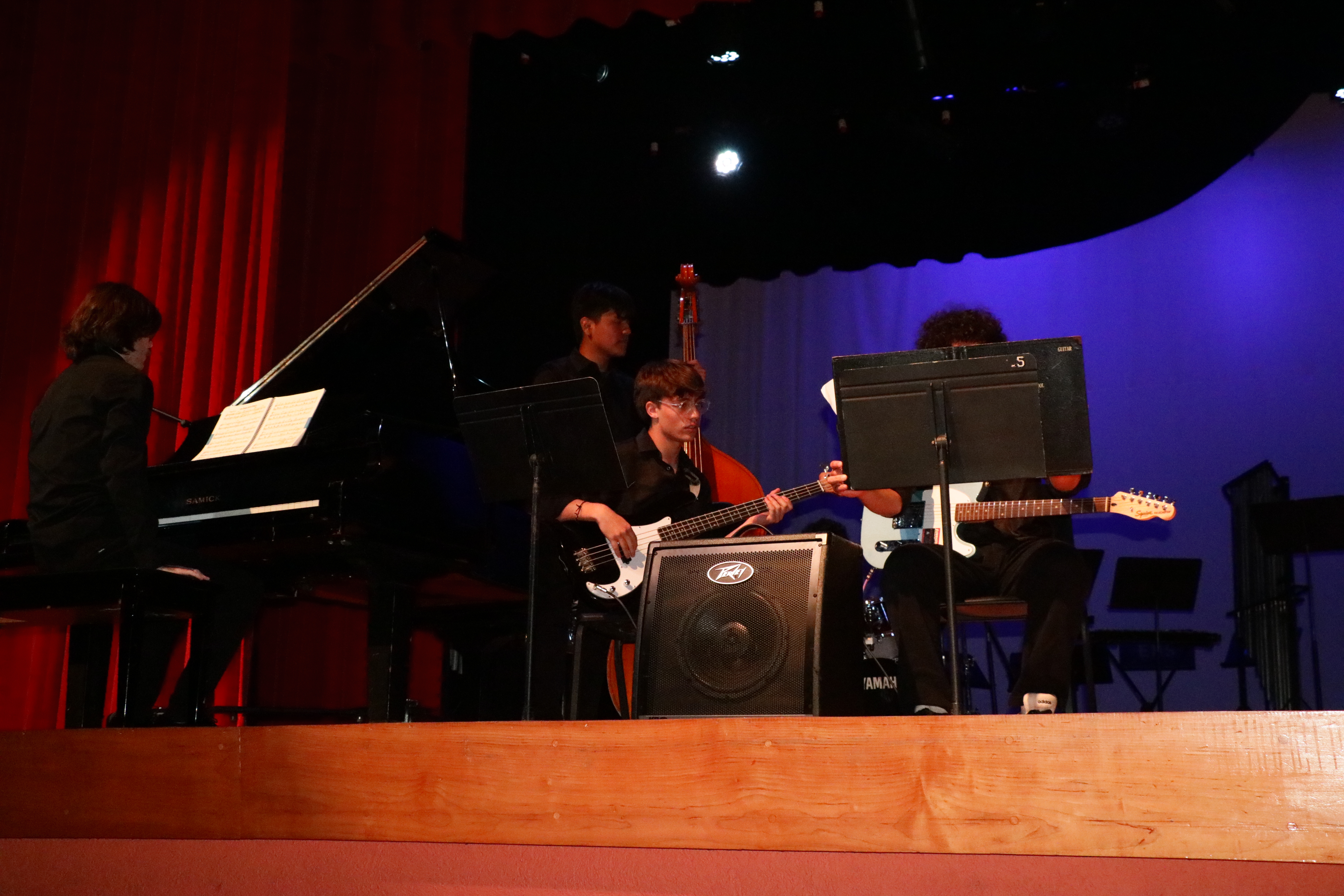 Concert photo 2