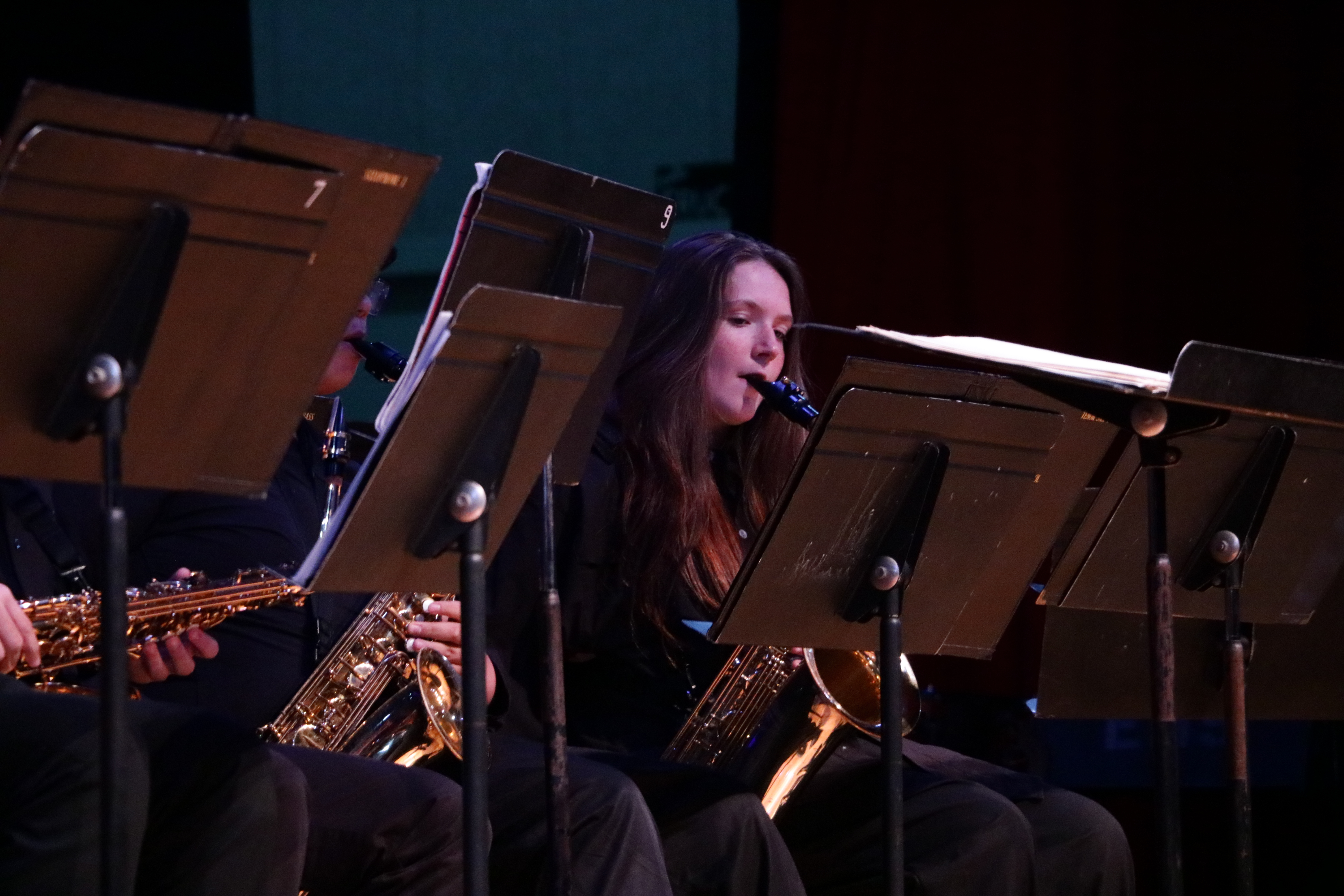 Concert photo 4