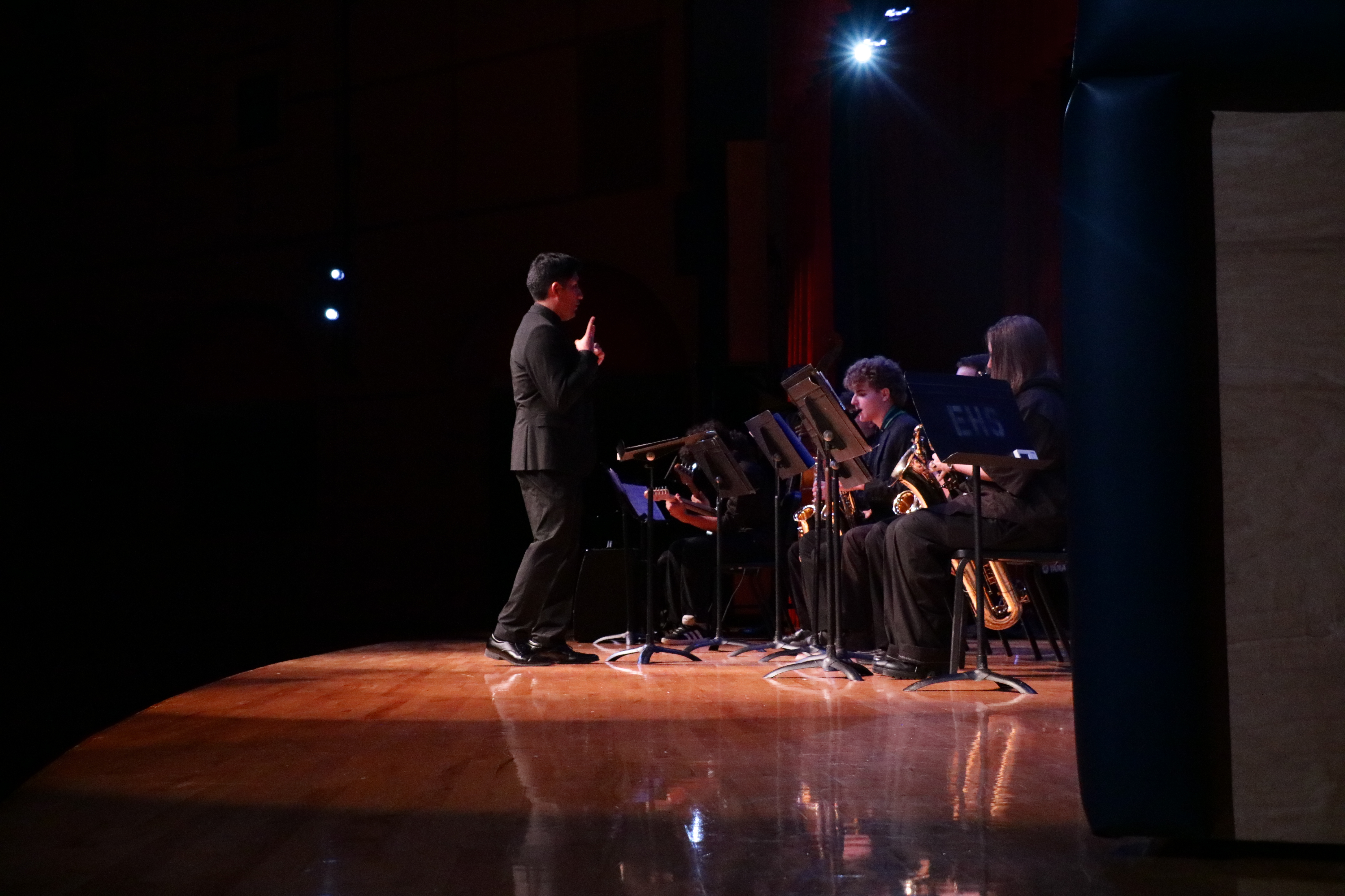 Concert photo 6