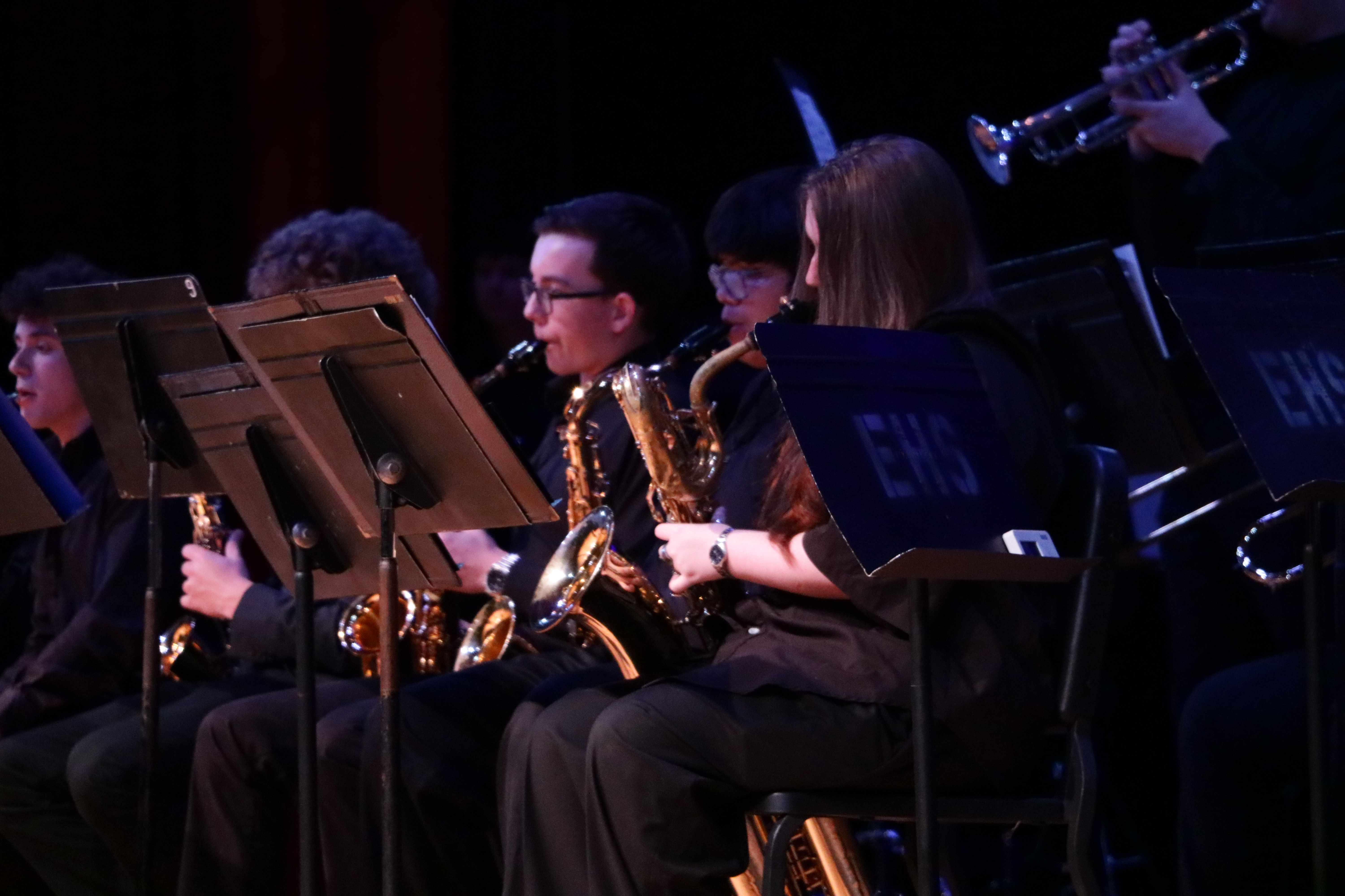 Concert photo 7