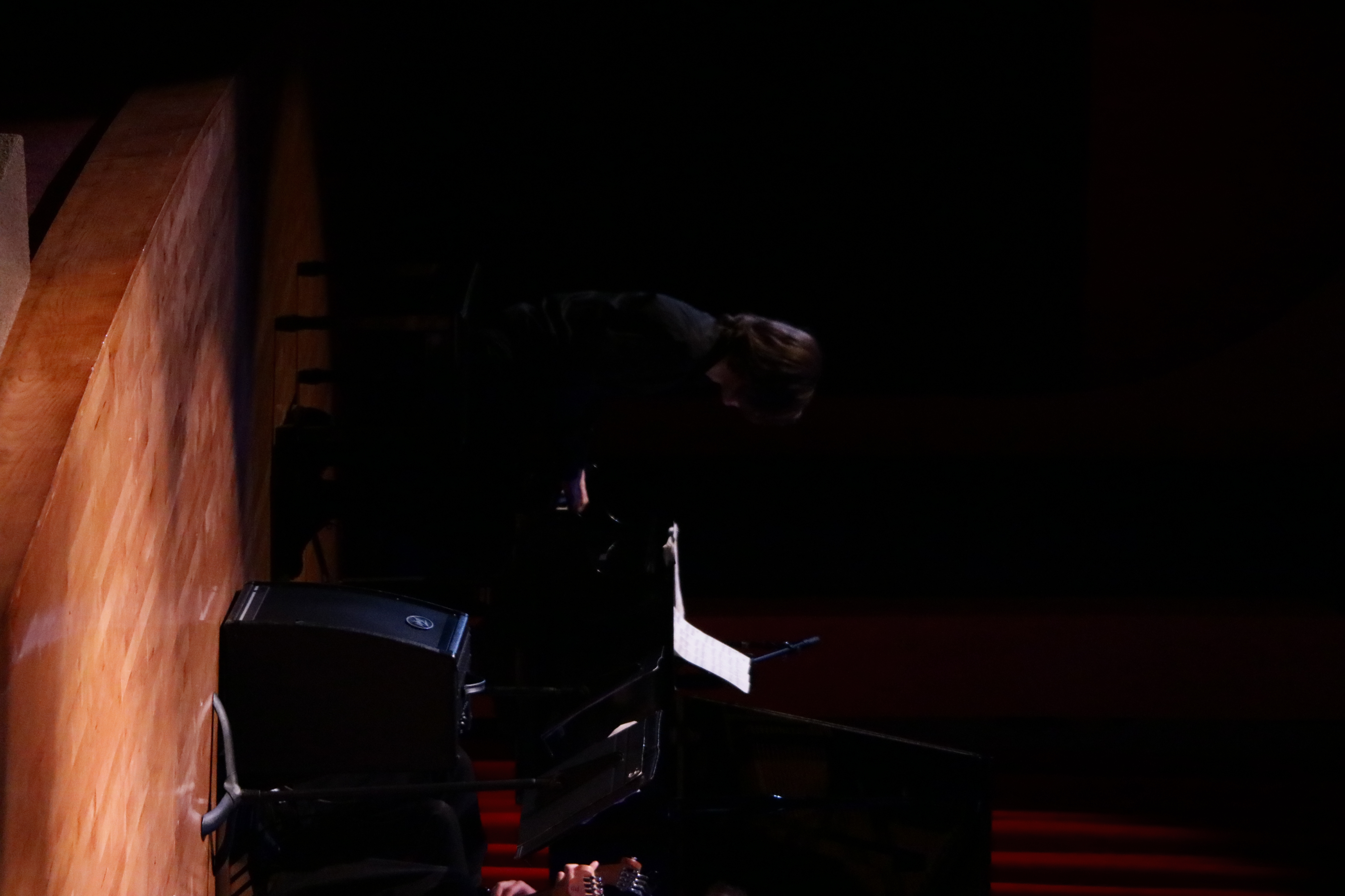 Concert photo 10