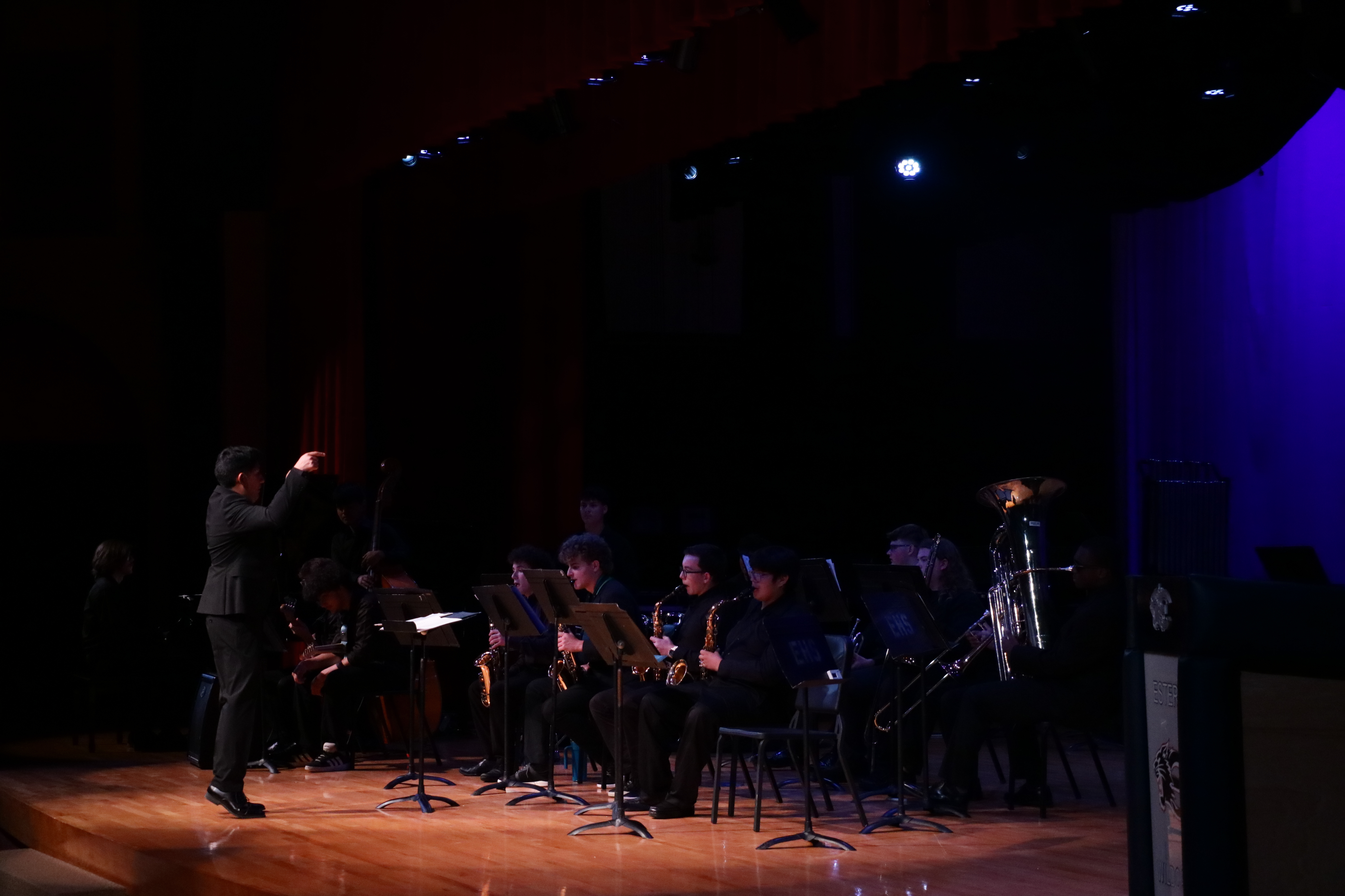 Concert photo 11
